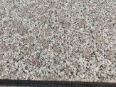 Granite Tím BĐ (P1)